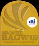 Bronze Bagwis